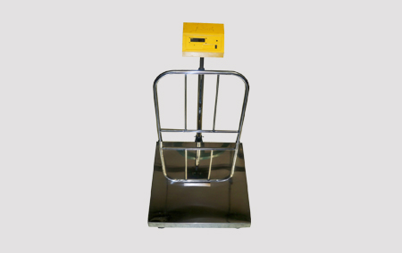 Platform Scale