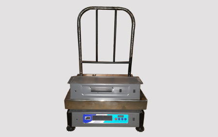 Platform Scale